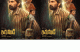 Irumudi Movie Review: Ravi Teja’s Devotional Mass Blend Packs Energy, But Settles for Formulaic Drama!