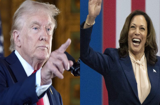 Google, Microsoft are Kamala Harris' top funders. And it's a worry...