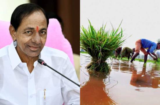 KCR to kickstart loan waiver 