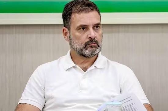 MP: Anger against Congress ruined Rahul Gandhi's agenda 