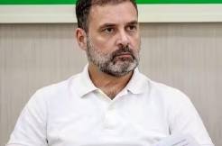 MP: Anger against Congress ruined Rahul Gandhi's agenda 