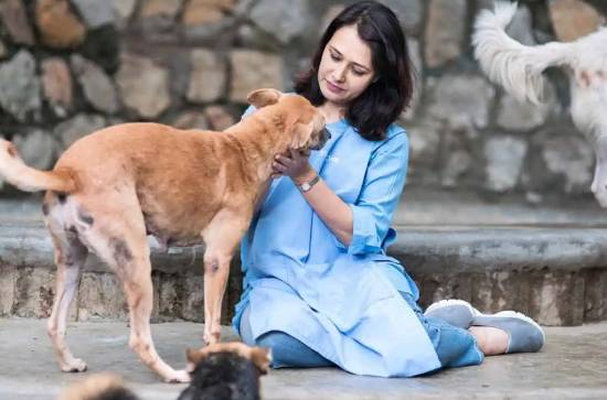 Amala Akkineni opposes Congress party's plan against stray dogs