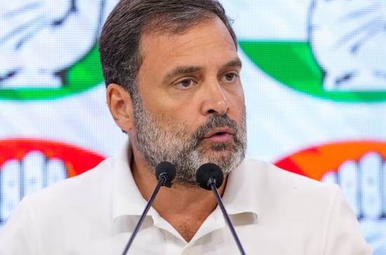 Rahul Gandhi's financial survey a recipe for economic terrorism: Critics 