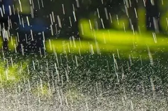 Unseasonal heavy rains lash Telugu states