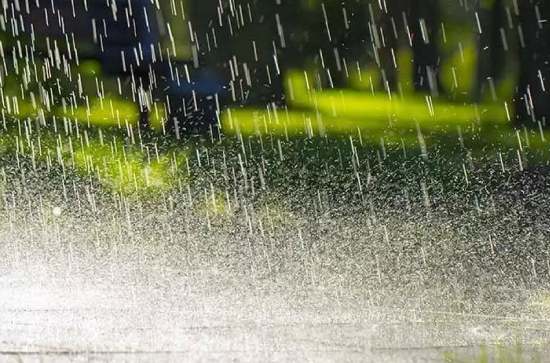 Unseasonal heavy rains lash Telugu states