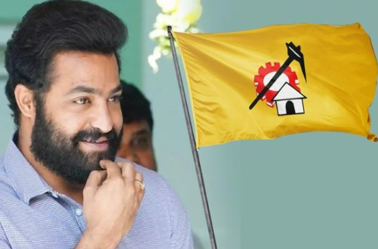 TDP batch to boycott Jr NTR's Devara