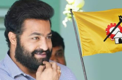 TDP batch to boycott Jr NTR's Devara