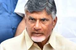 TDP chief CBN arrested in Nandyal