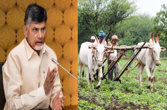Last attempt: Naidu to announce Runa Mafi?