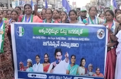 Andhra Women Protest Against Naidu For Stalling Welfare Scheme Funds