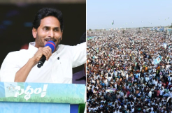 Over 1 Crore YSRCP Star Campaigners 'Siddham' For Jagan’s Landslide Victory
