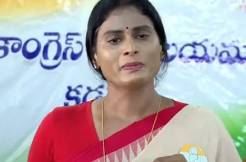 What is the polling percent in big 6 constituencies?