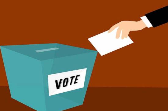 Andhra records 30 percent polling by 12pm