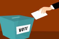 Andhra records 30 percent polling by 12pm