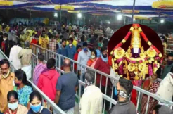 Sticks will be given to thousands of Tirumala devotees: TTD Chairman 