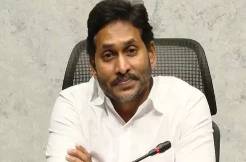 Elecsense Survey: Who is winning AP?