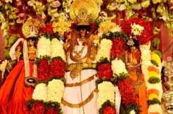 Green signal for the live telecast Ramulavari Kalyanam from Badrachalam