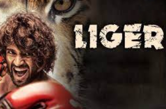 So, producers of 'Liger' made a profit of at least Rs 40 Cr! 