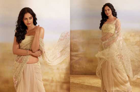 Bindu Madhavi is beautiful in Golden Saree