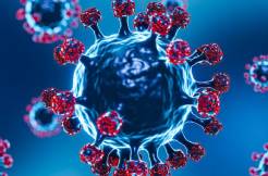 Is JN.1 variant of COVID-19 worrying? Experts weigh in 