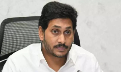 What Did IPAC Surveys Conclude On AP Elections?