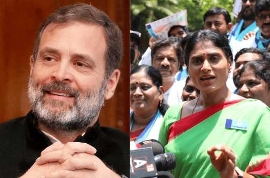 Interesting: Amidst rumors, YS Sharmila wishes Rahul Gandhi