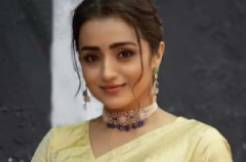 Actress Trisha resolves to drag Tamil politician to court 