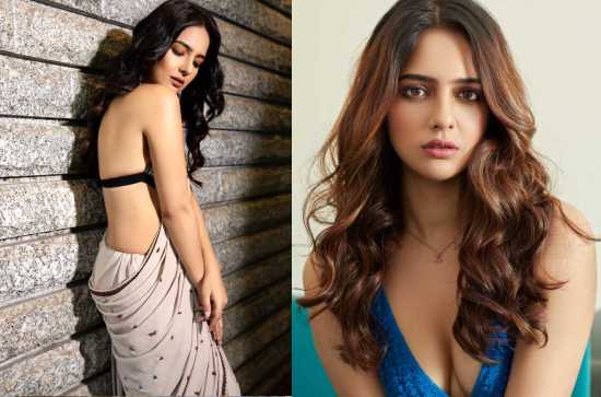 Glam Shot : Malvi Malhotra in Shining Hot Look