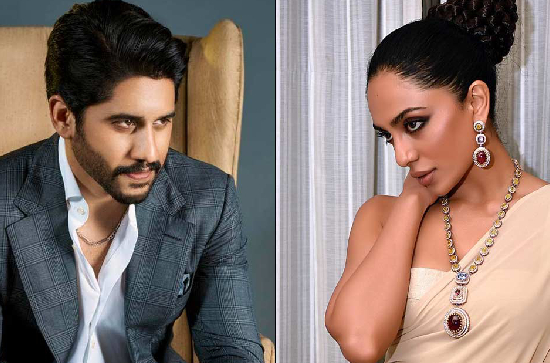 Naga Chaitanya's rumoured GF Sobhita talks about 'ideal' hubby