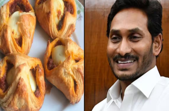 YSRCP says 'Egg puffs' story is purely sensationalism, baseless 