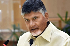 TDP targeting YCP films at important time