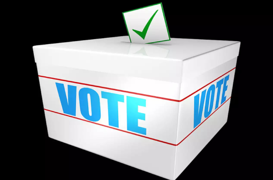 9 Months For AP Polls: Deleted Votes To Be Cross Checked 