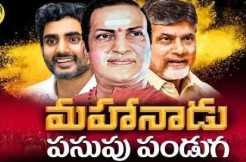 This is what TDP plans to announce in Mahanadu meeting 