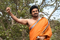 Pawan turning Vaaraahi into a huge flop