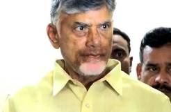 CID Files New Case On Chandrababu 