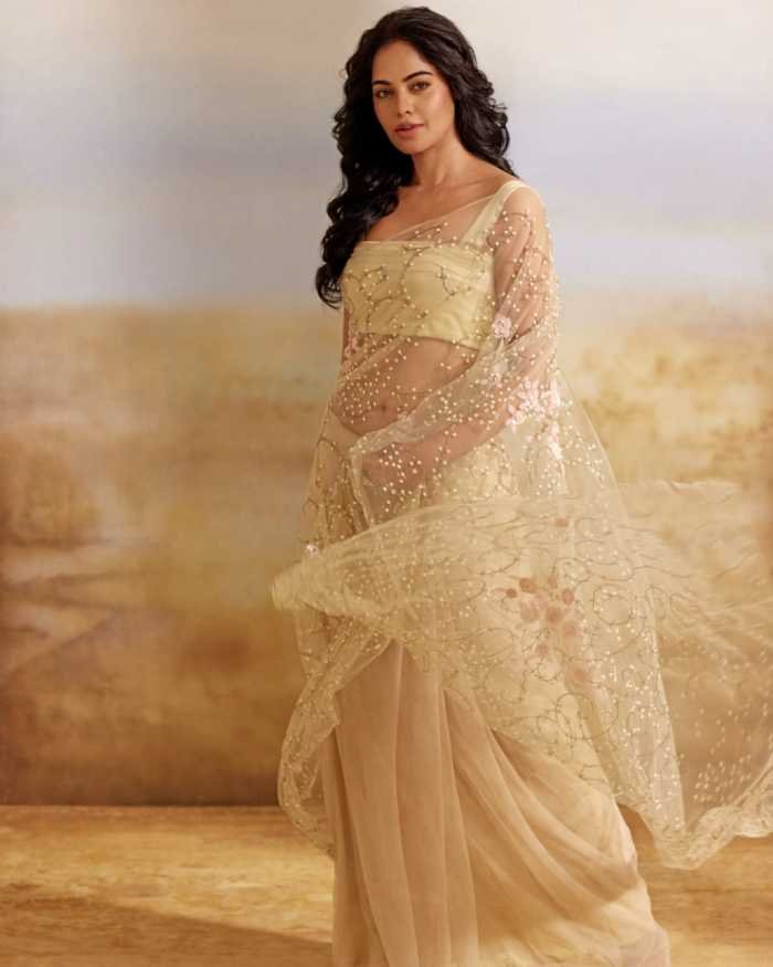 Bindu-Madhavi-5